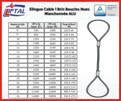 Elingue cable