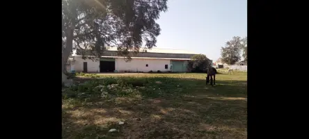 Hangar