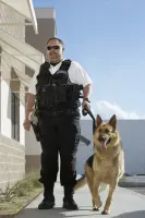Gardiennage, Sécurité, Escorte.