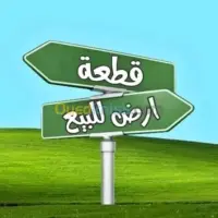 قطعة ارض في بلدية قاوس في بني احمد
