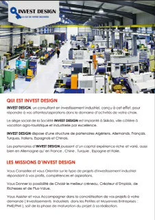 Consultant en investissement industriel