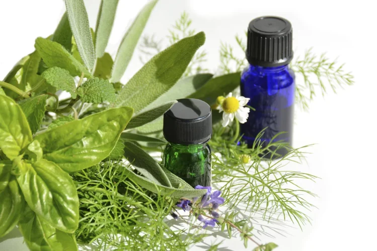 Laboratoires Nature: Extraits et huiles de plantes végétales à usage médical, extraits naturels de plantes pour teinte durable pour cheveux.