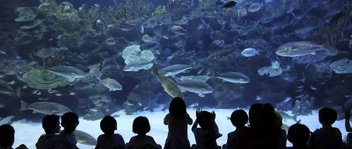 Voyage organisé en Malaisie départ Alger