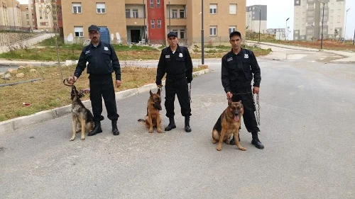 Entreprise De Gardiennage