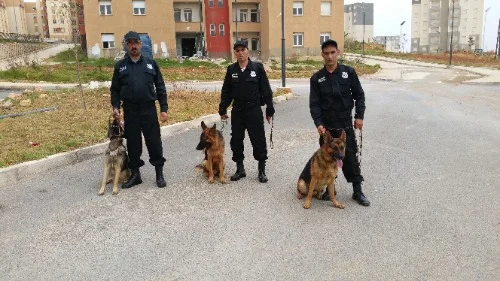 Entreprise de Gardiennage et sécurité