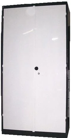 ARMOIRE METALLIQUE LOCALE