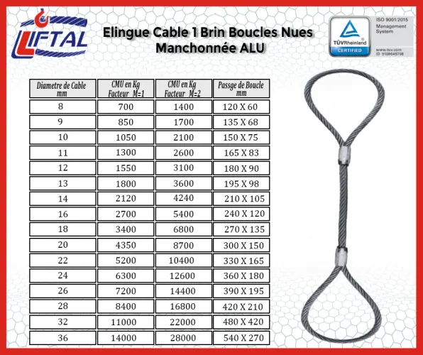 Elingue cable