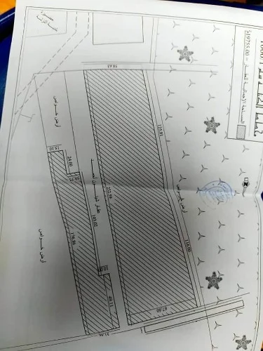 Terrain  avendre à Touggurt