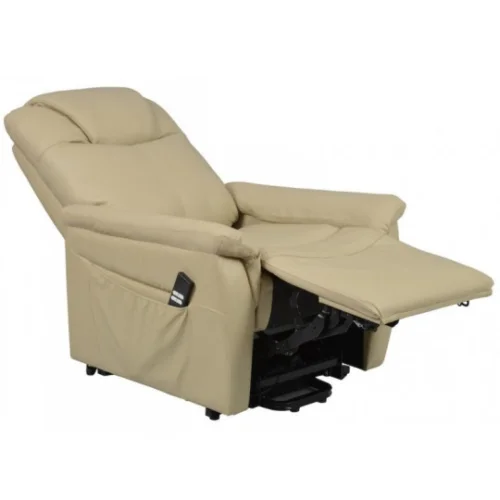 Fauteuil Releveur électrique Relaxant  véritable Cuir 2 moteurs