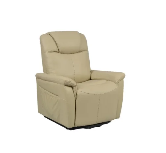 Fauteuil Releveur électrique Relaxant  véritable Cuir 2 moteurs