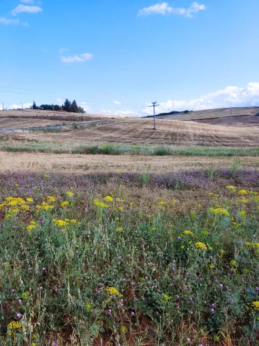 Vente terrain agricole