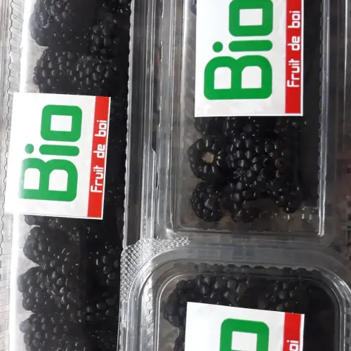 Fruits de bois