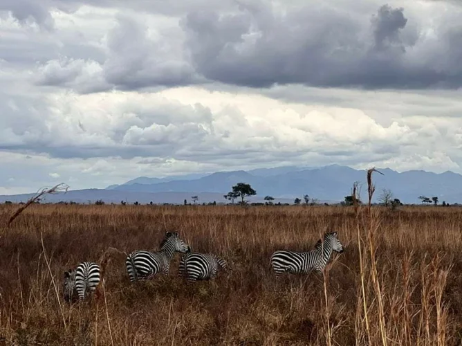 Voyage organisé Zanzibar