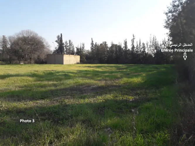 قطعة ارض 4201m2 - الشلف