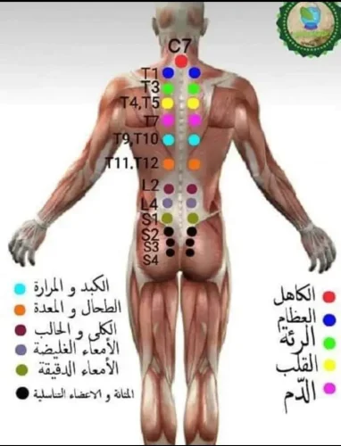 حجامة منزلية