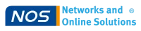 Networks and Online Solutions 