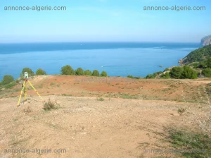 Plusieurs lots de terrains