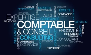 Comptabilité et Commissariat aux Comptes