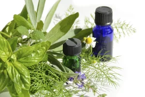 Laboratoires Nature: Extraits et huiles de plantes végétales à usage médical, extraits naturels de plantes pour teinte durable pour cheveux.