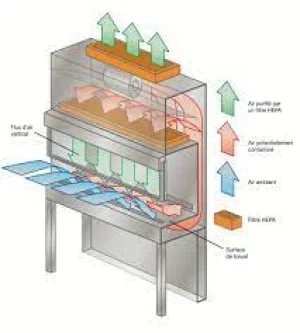 hotte a flux laminaire horizontal et vertical