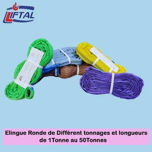 Elingue ronde