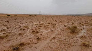 أرض فلاحية للبيع