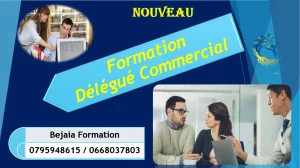 Formation spécialisée / Délégué Commercial