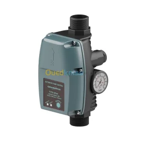 Cerveau Pompe À Eau