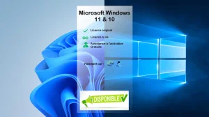 Clés professionnelles pour Office et Windows - Offre spéciale !