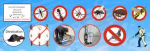 ettoyage, Désinsectisation, Dératisation, Lutte Anti Nuisible(Fourmis, Cafards, Souris, Rats , Punaise De Lit, Puces Mouches,Scorpions Serpents, Chiens Errants.....)