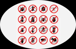 ETS THE ALPHA NUISIBLES