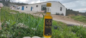 زيت الزيتون BADJA… الذوق الأصيل والجودة الحقيقية