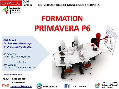 Formation Primavera P6