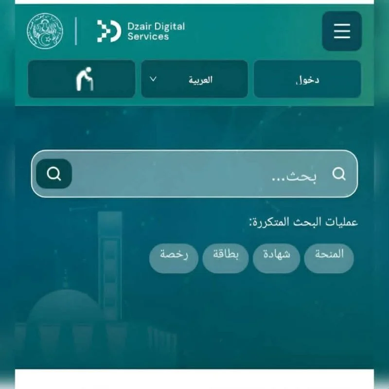 DZDS : Guide Complet de la Plateforme Dzair Digital Services 2026